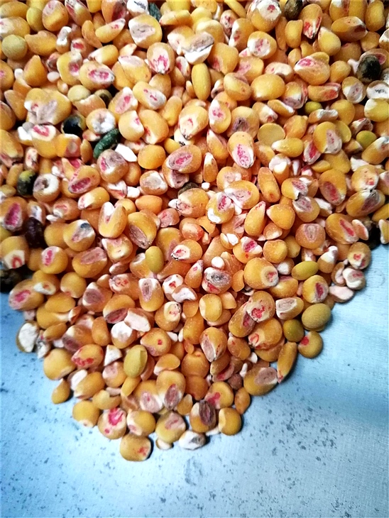 去麻豆性色无码精品一区二区藥種子包衣外皮去皮機