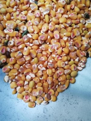 去麻豆性色无码精品一区二区藥種子包衣外皮去皮機